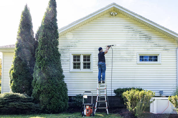 Best Sidewalk Pressure Washing  in Dundas, MN