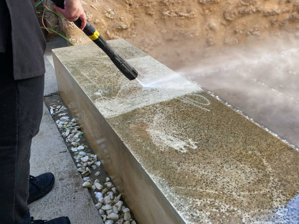 Best Power Washing Near Me  in Dundas, MN