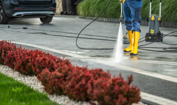 Best Concrete Pressure Washing  in Dundas, MN