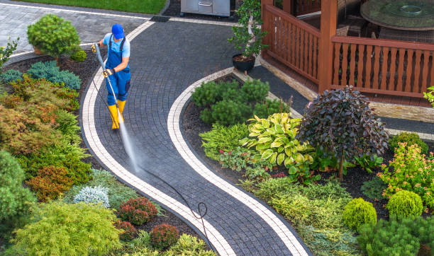 Best Pressure Washing Company Near Me  in Dundas, MN